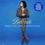 Vinyl record sleeve - Delicate